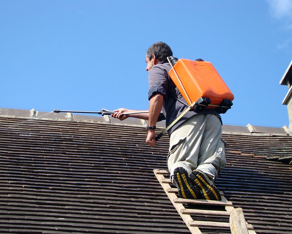 Entreprise de démoussage de toiture à Orléans